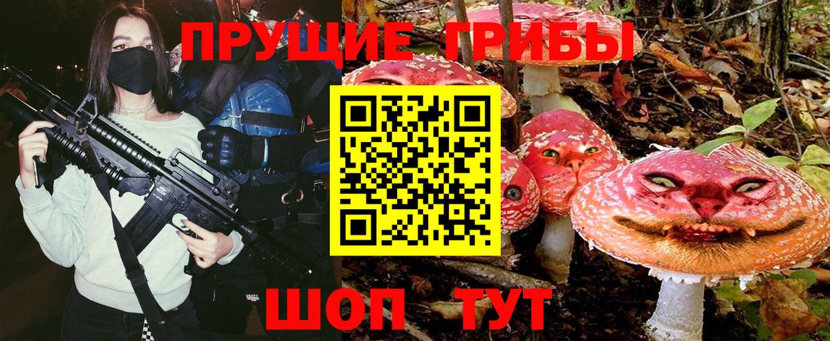 Псилоцибиновые грибы Psilocybe  Псилоцибиновые грибы ЛСД  Псков  Вход с VPN 