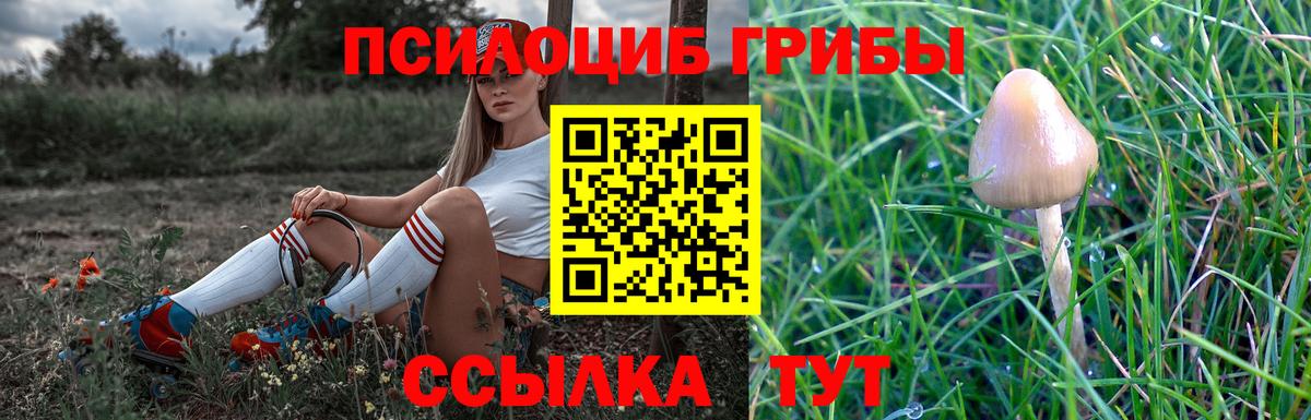 Галлюциногенные грибы мухоморы Псков